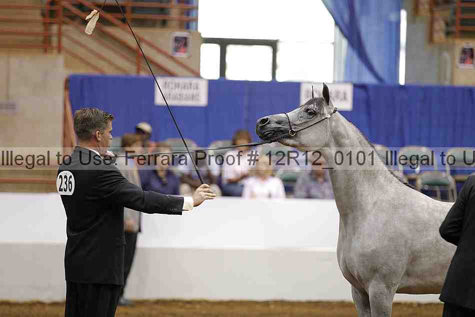 Proof Number 12r12_0101