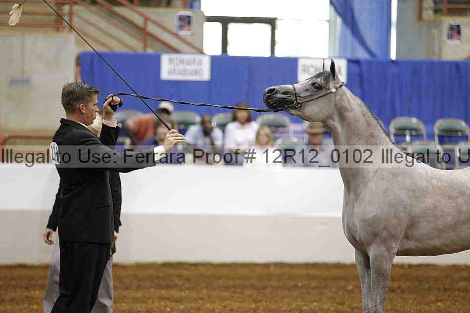 Proof Number 12r12_0102