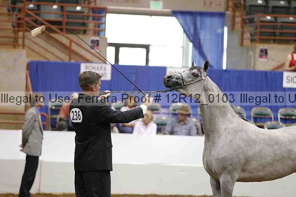 Proof Number 12r12_0103