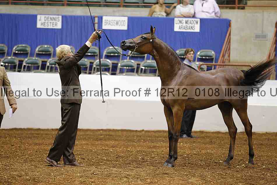Proof Number 12r12_0108