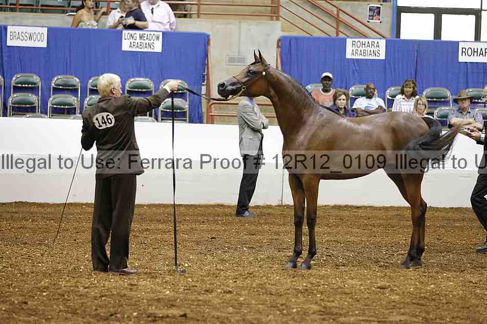 Proof Number 12r12_0109
