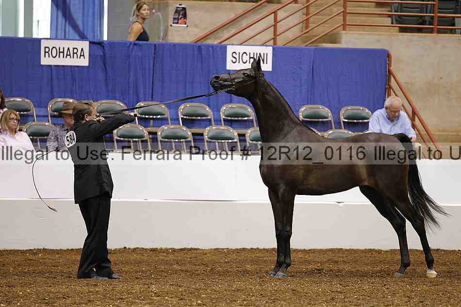 Proof Number 12r12_0116