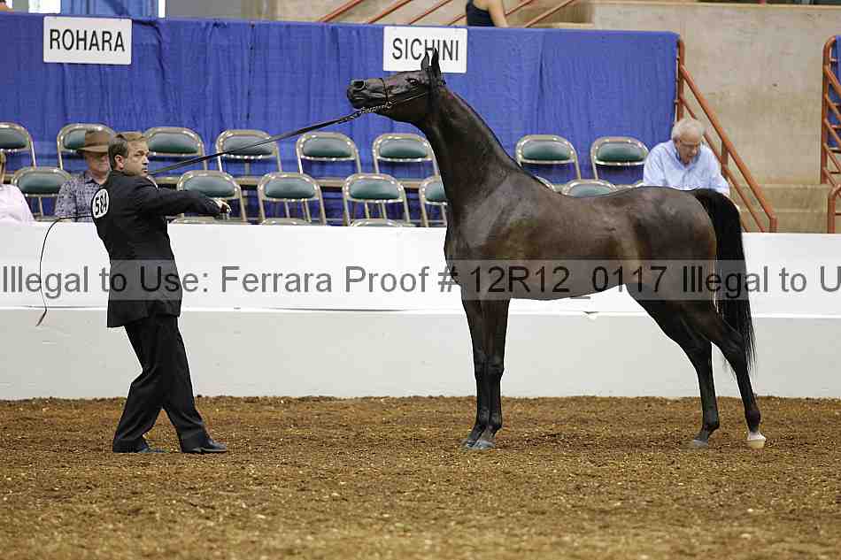 Proof Number 12r12_0117