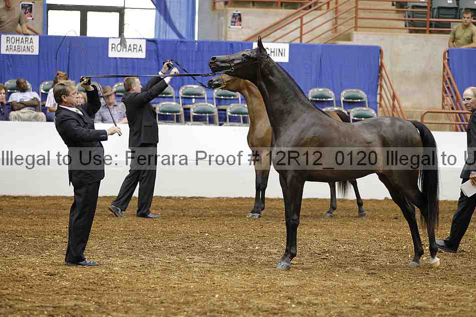 Proof Number 12r12_0120