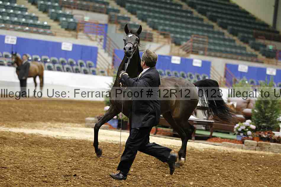 Proof Number 12r12_0123