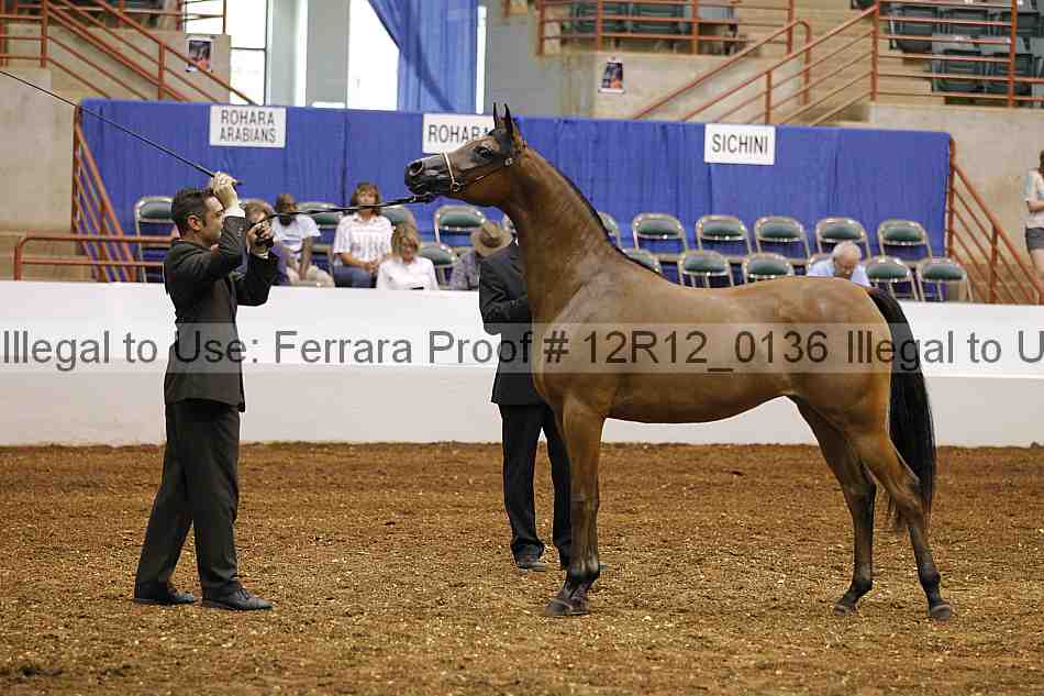Proof Number 12r12_0136