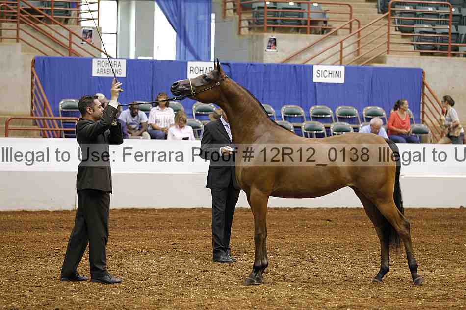 Proof Number 12r12_0138
