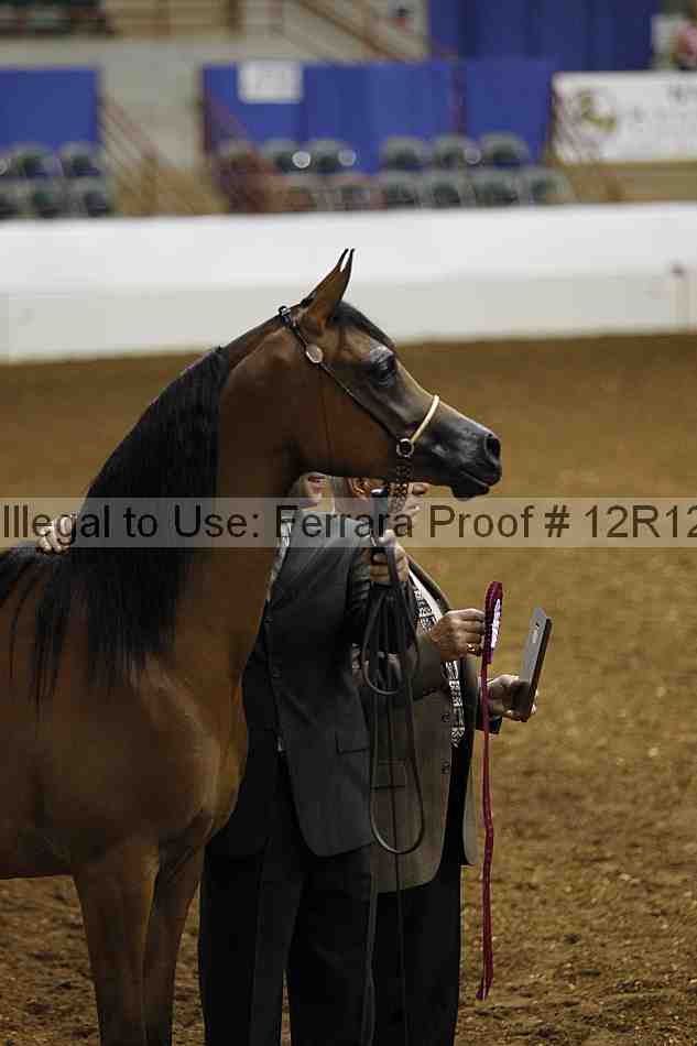 Proof Number 12r12_0142