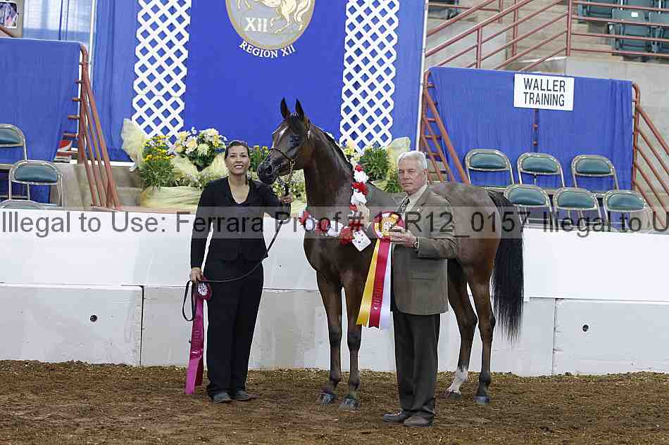 Proof Number 12r12_0157