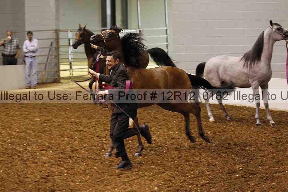 Proof Number 12r12_0162