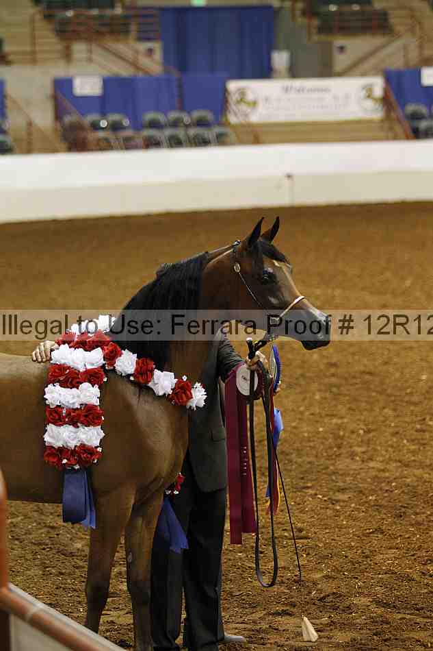 Proof Number 12r12_0163