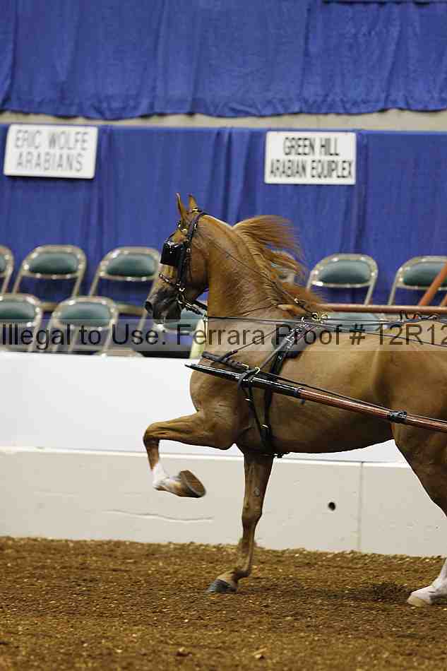 Proof Number 12r12_0501