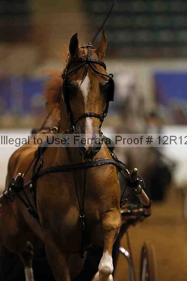 Proof Number 12r12_0504