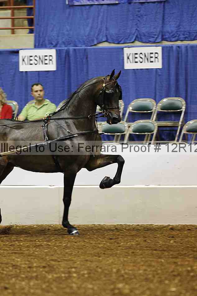 Proof Number 12r12_0510