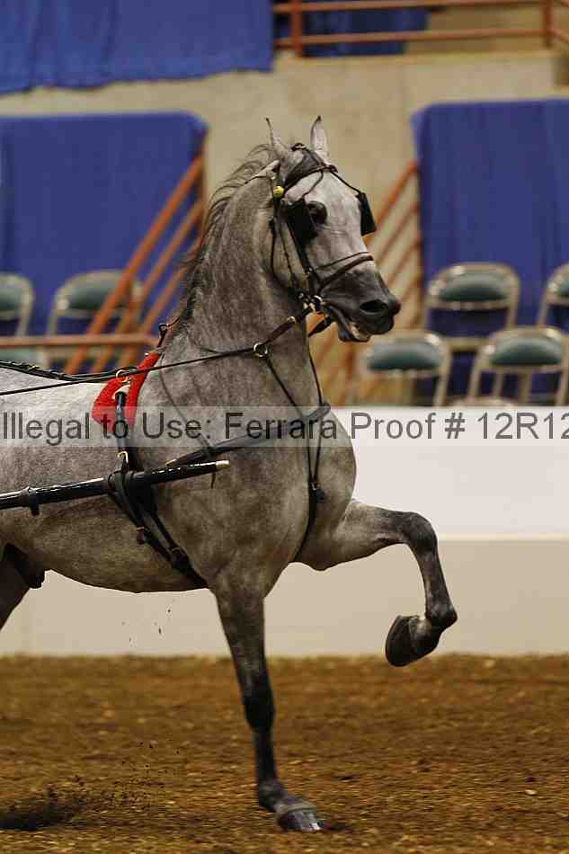 Proof Number 12r12_0512