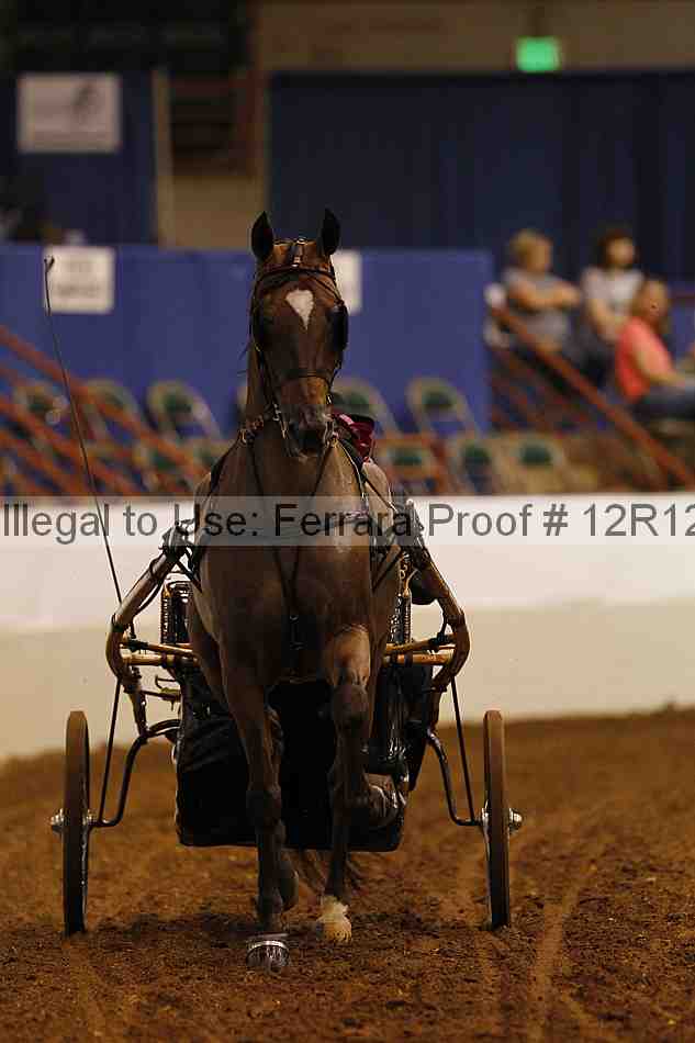 Proof Number 12r12_0516