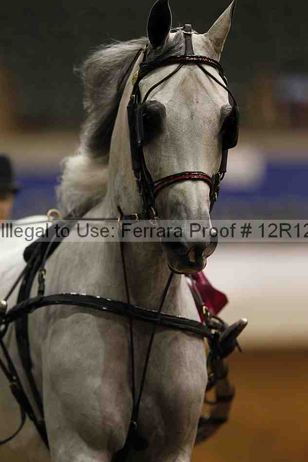 Proof Number 12r12_0526
