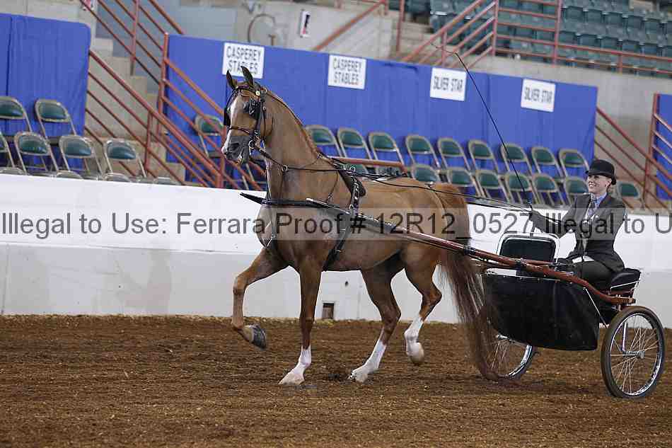 Proof Number 12r12_0527