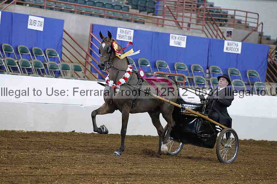 Proof Number 12r12_0531
