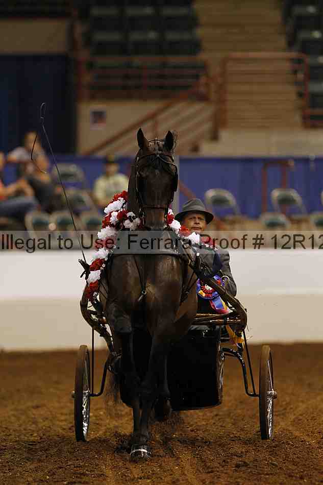 Proof Number 12r12_0538