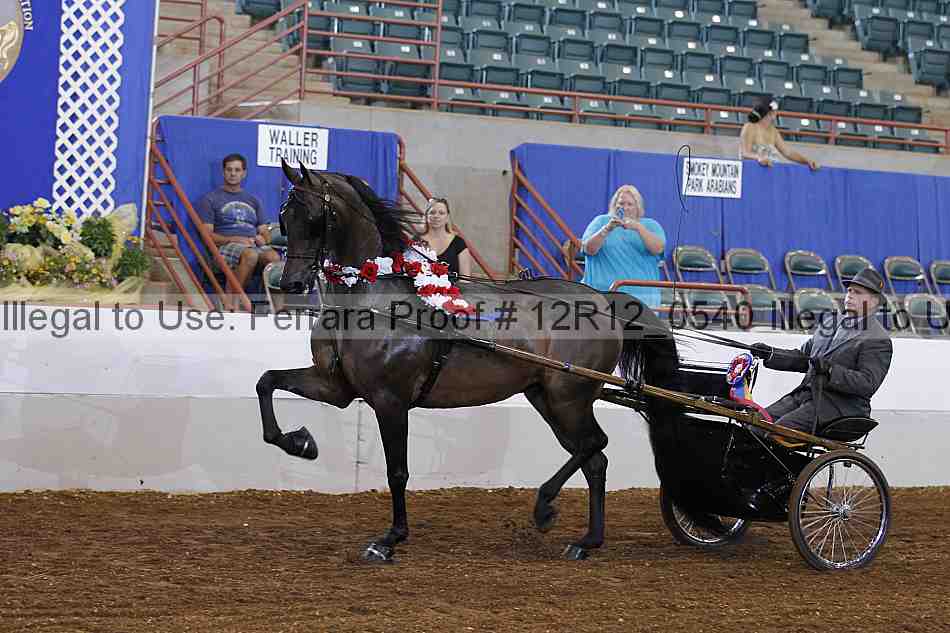 Proof Number 12r12_0540