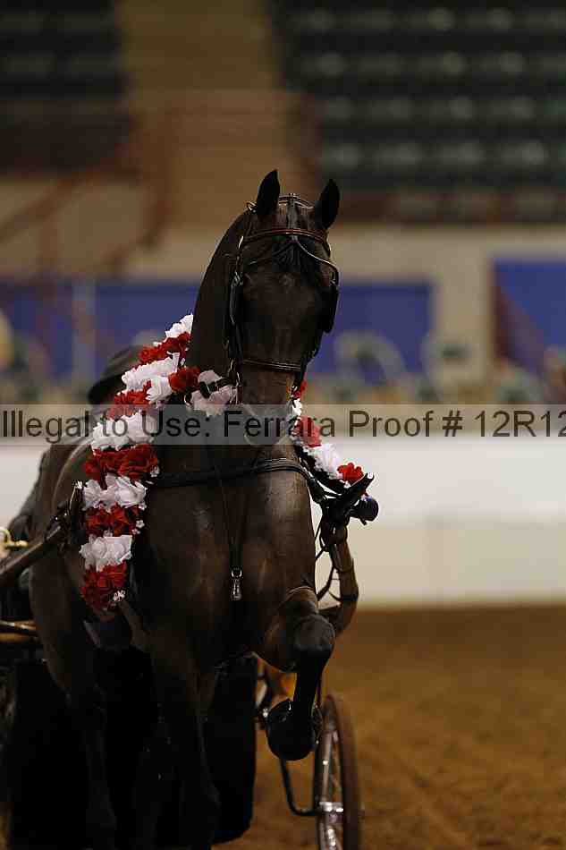 Proof Number 12r12_0541