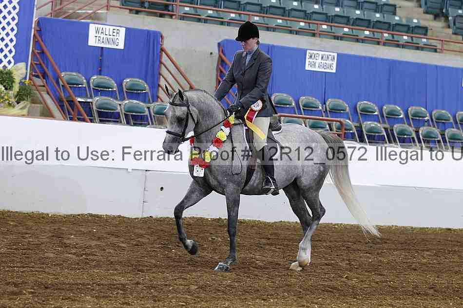 Proof Number 12r12_0572
