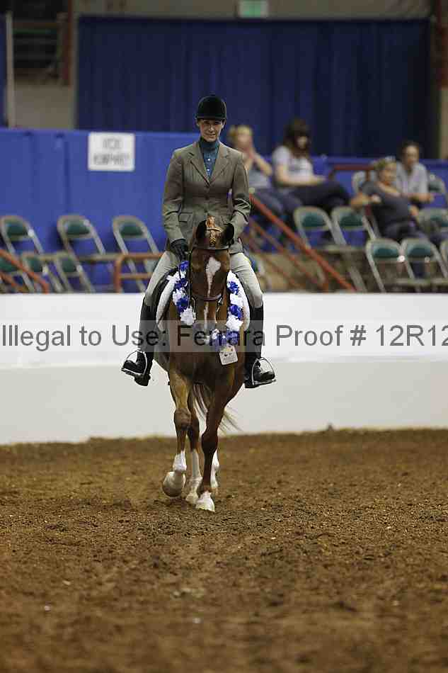 Proof Number 12r12_0575
