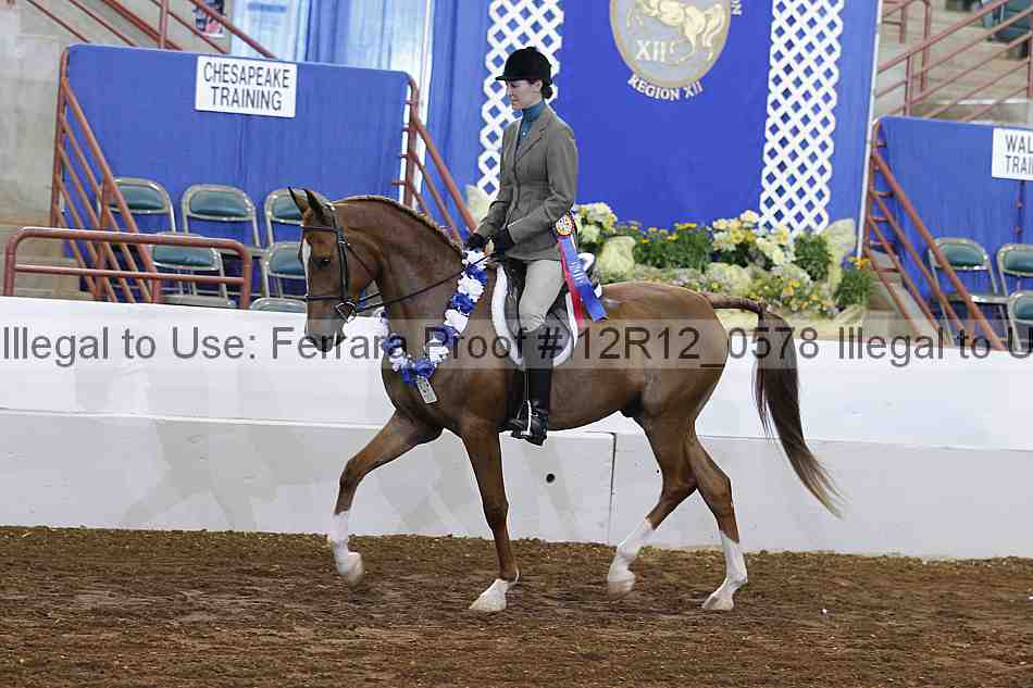 Proof Number 12r12_0578