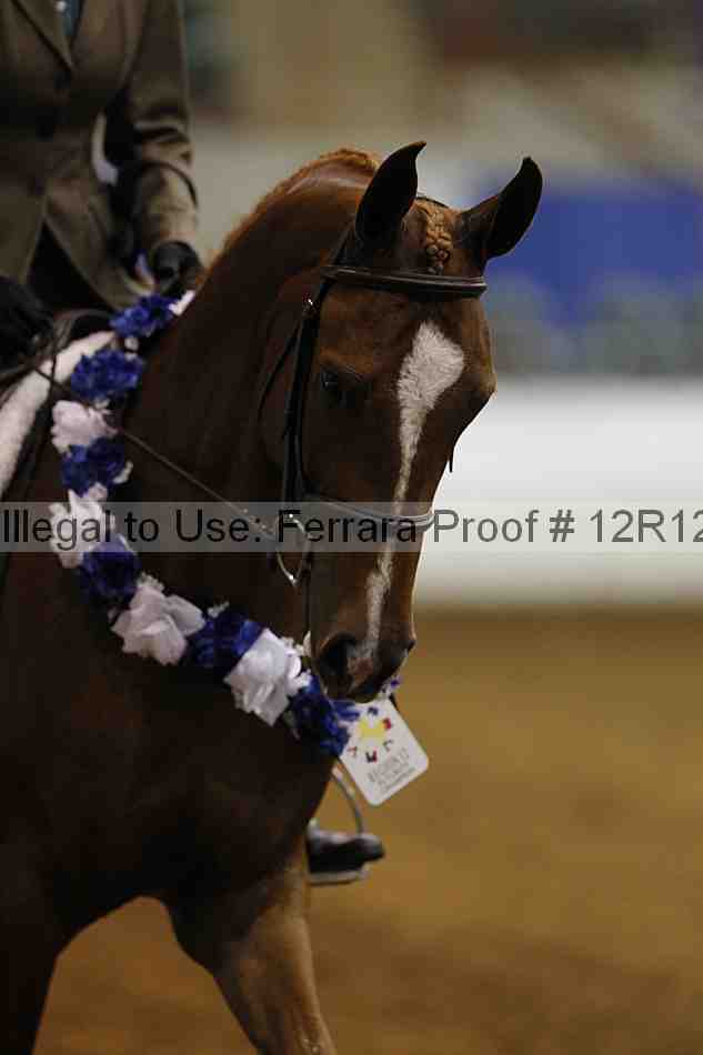 Proof Number 12r12_0579