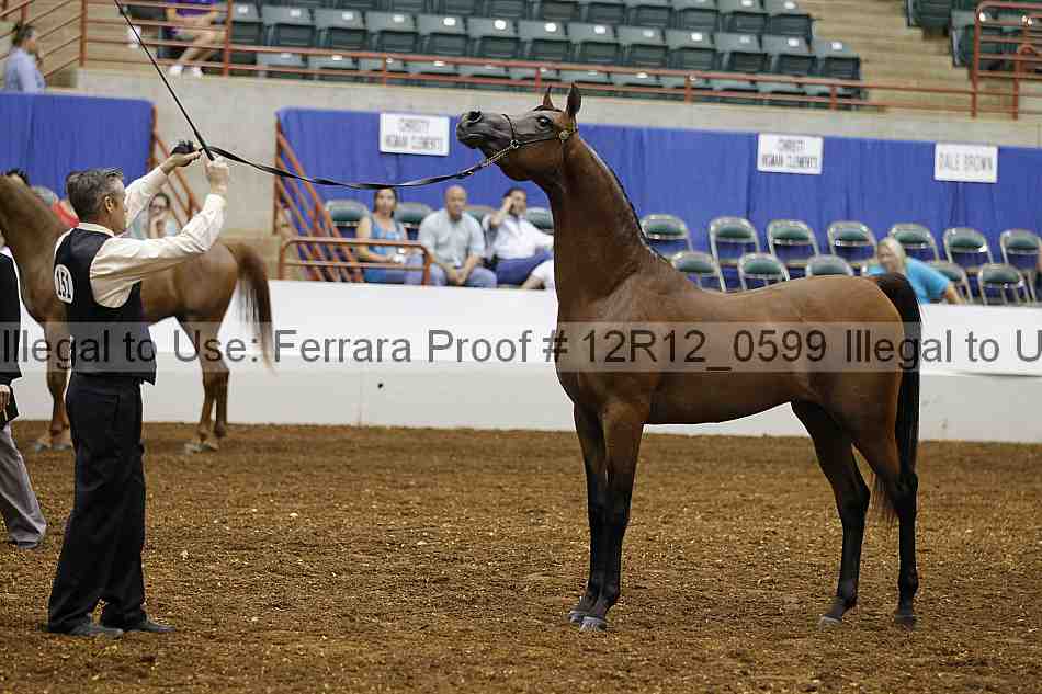 Proof Number 12r12_0599