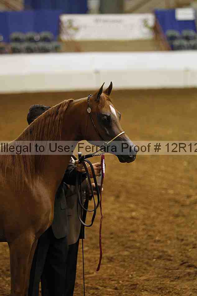 Proof Number 12r12_0627