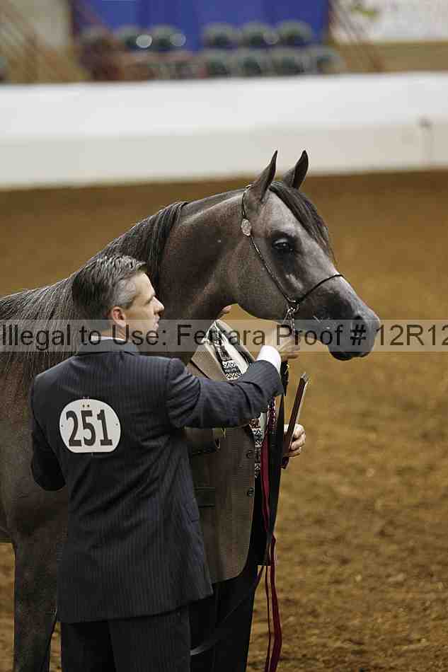 Proof Number 12r12_0631