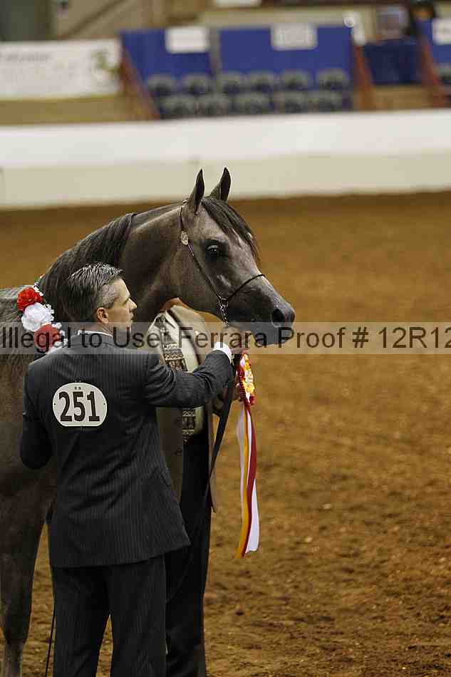 Proof Number 12r12_0638