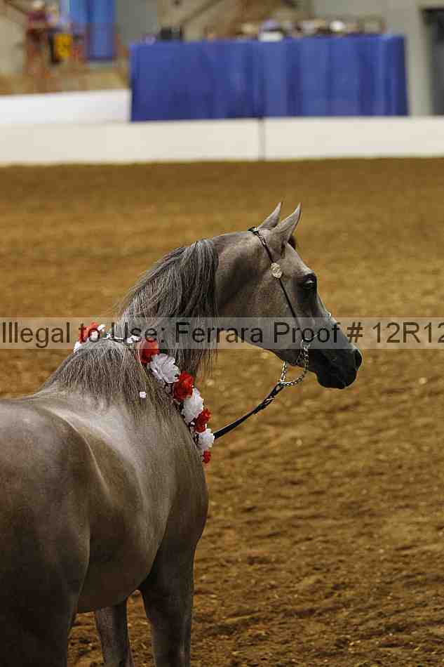 Proof Number 12r12_0640