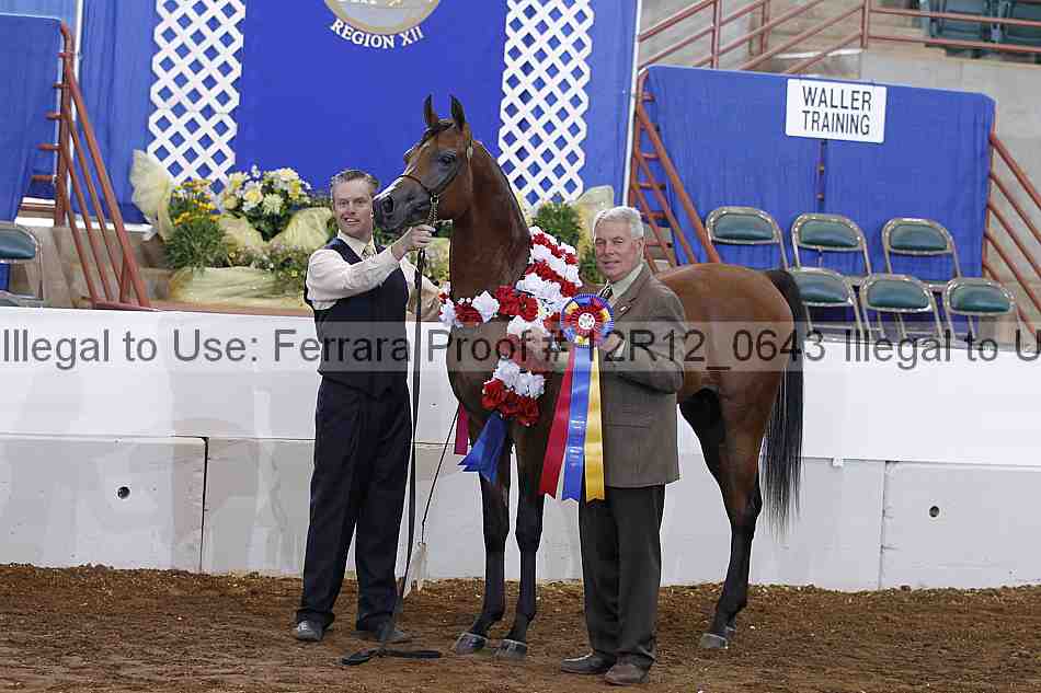 Proof Number 12r12_0643