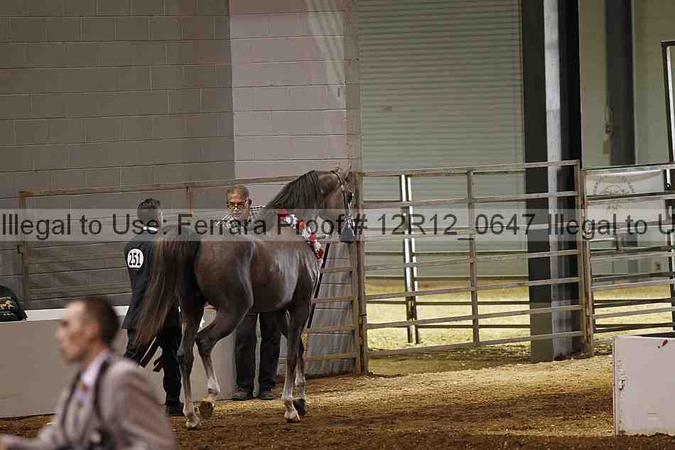 Proof Number 12r12_0647