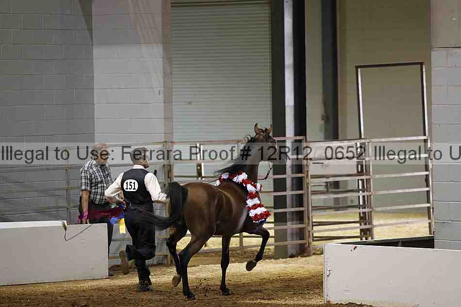 Proof Number 12r12_0652