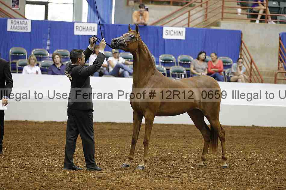 Proof Number 12r12_0659