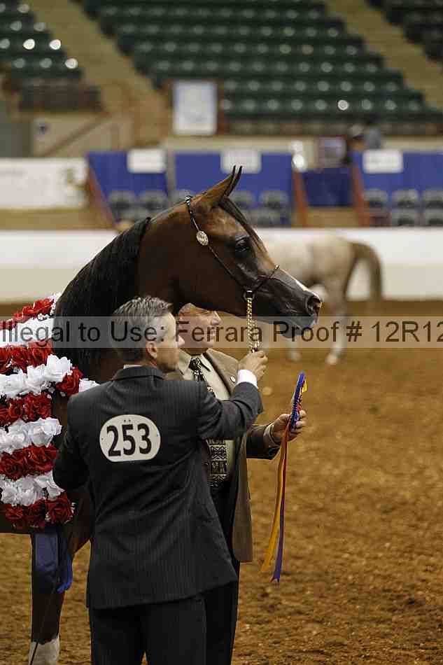 Proof Number 12r12_0694