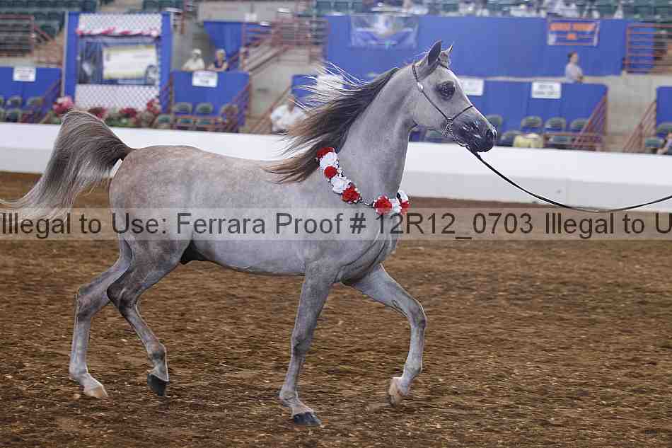Proof Number 12r12_0703