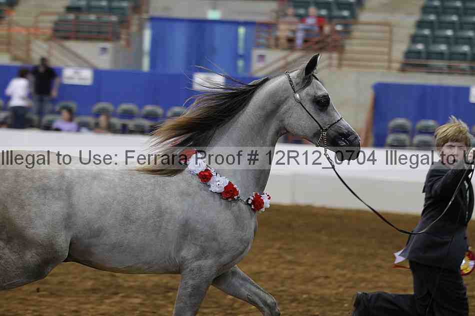 Proof Number 12r12_0704