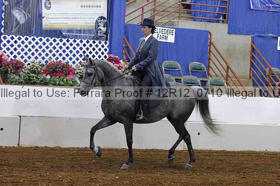 Proof Number 12r12_0710