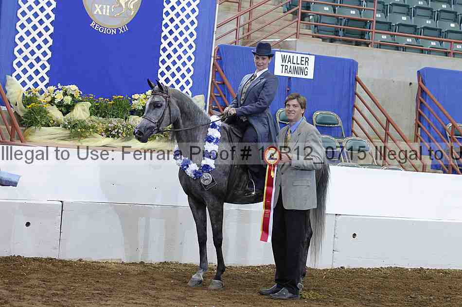 Proof Number 12r12_0715