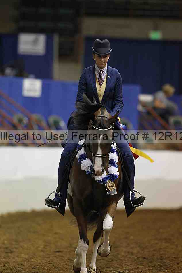 Proof Number 12r12_0726