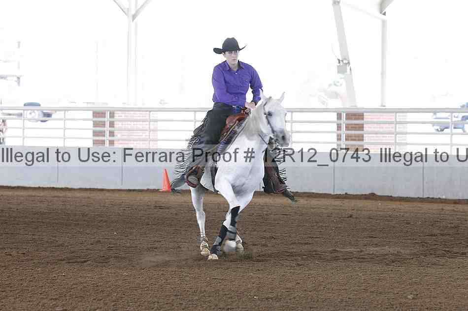 Proof Number 12r12_0743