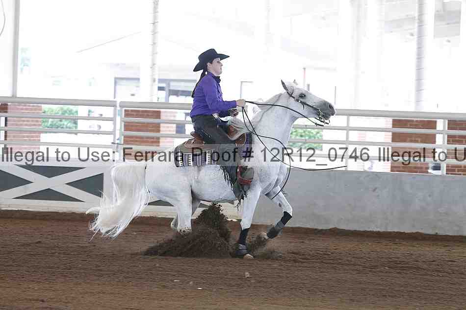 Proof Number 12r12_0746