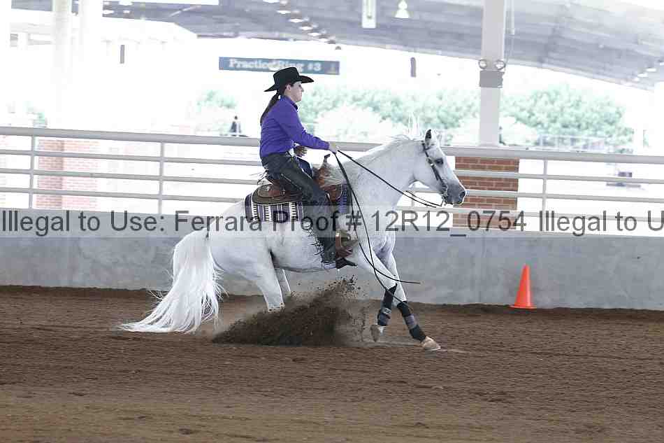 Proof Number 12r12_0754