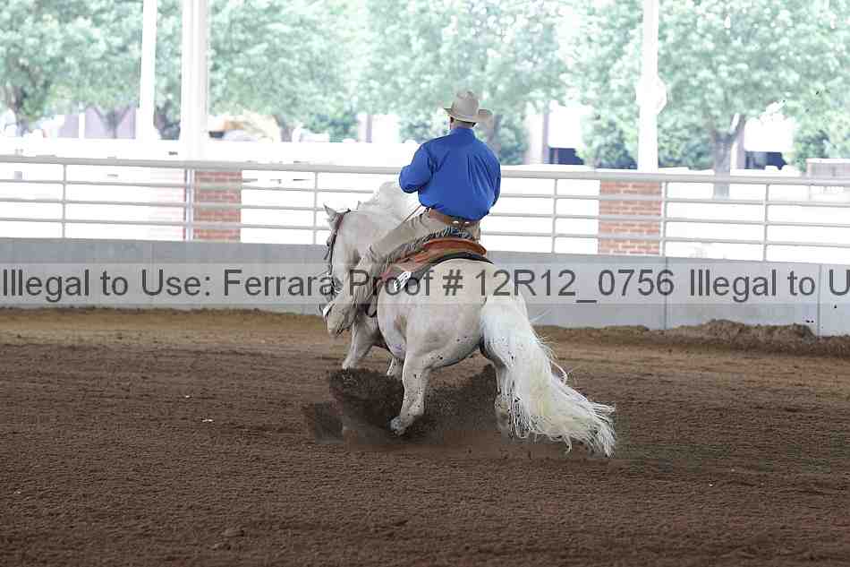 Proof Number 12r12_0756