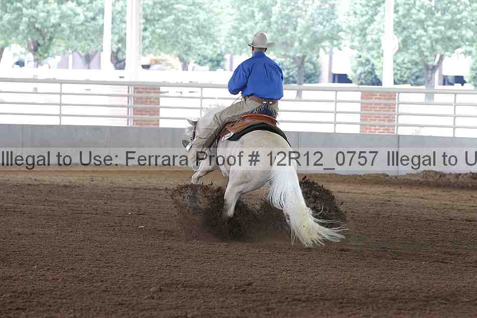 Proof Number 12r12_0757